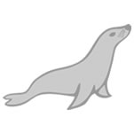 Software that we use.